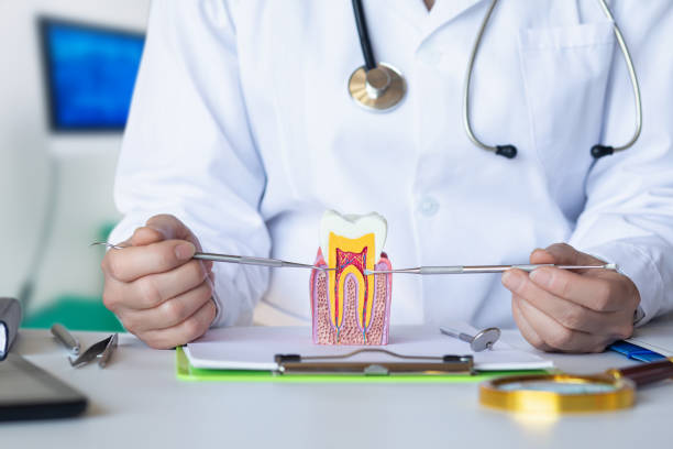 Best Emergency Dental Extractions in Riverview, SC